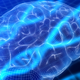 Illustration for article titled Have we found the genetic basis for intelligence?